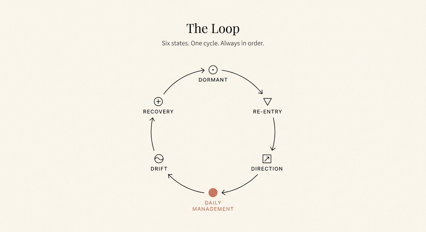 The six-state Active Loop